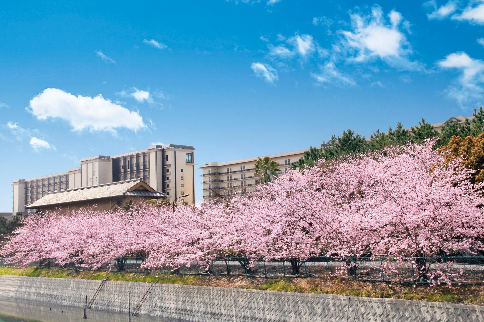 Ryugujo Spa Hotel Mikazuki Fujimitei Kisarazu Exterior photo